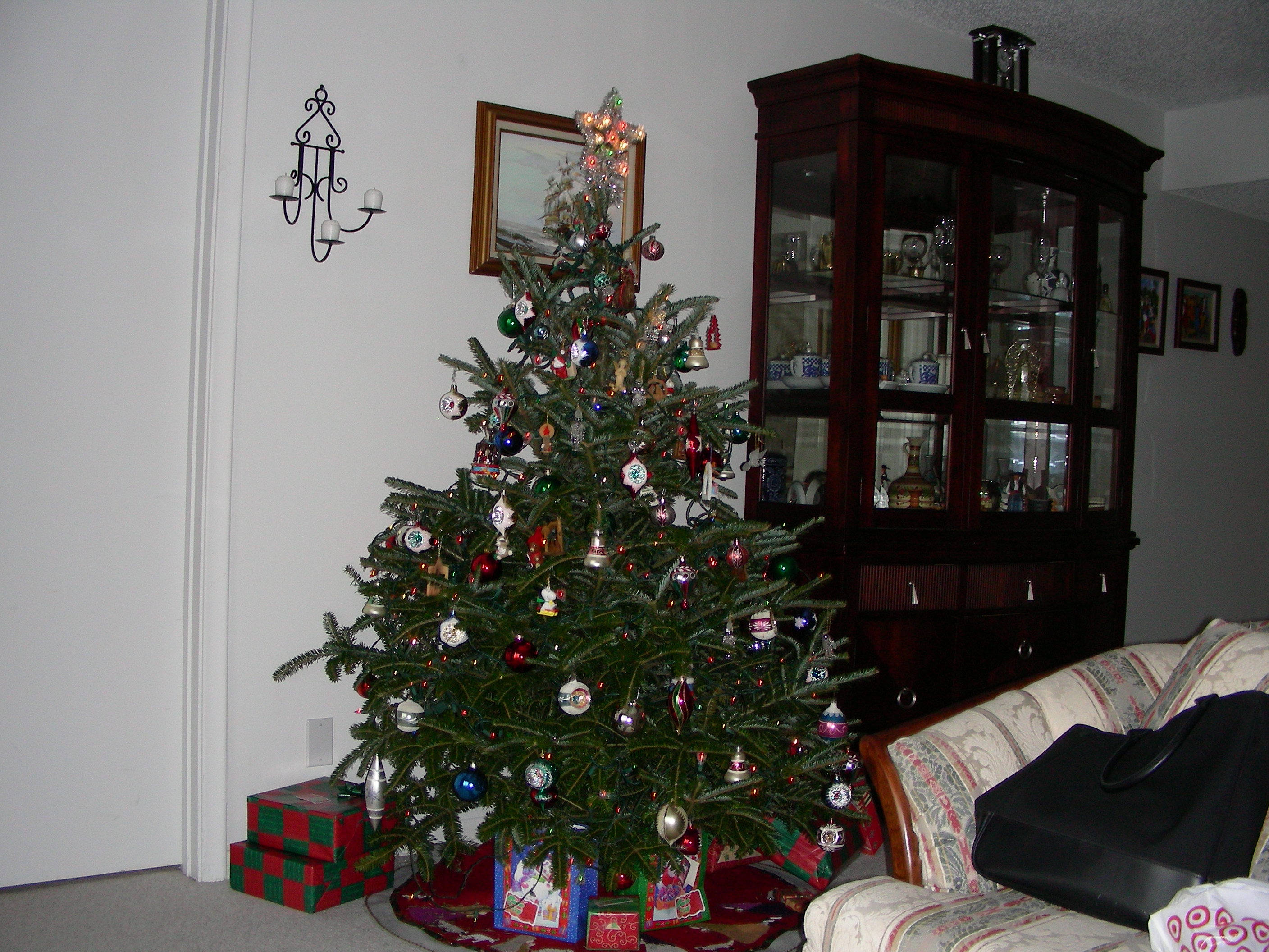 ./2006/Christmas/Mom and Dad's/DSCN0513.JPG